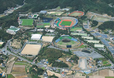 ���m�����t�쑍���^������
